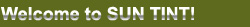 Welcome to SunTint - Professional Auto Window Tinting, Security and Navigation Systems, Audio / Video, Everything for your Car